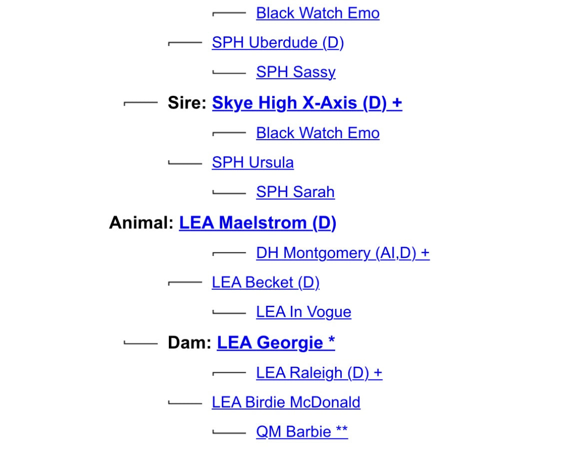 Unconventional Acres Avalanche - $4500