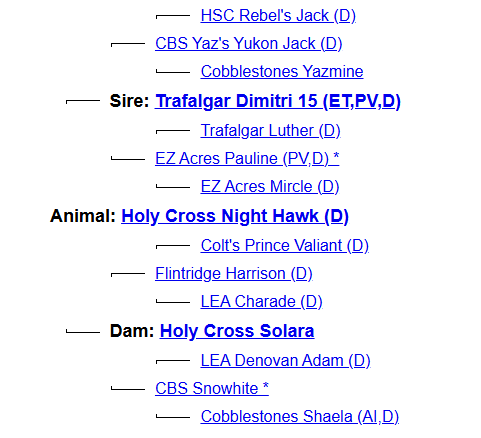 Holy Cross Night Hawk (D) - $6000