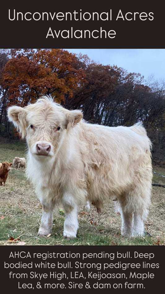 Unconventional Acres Avalanche - $4500