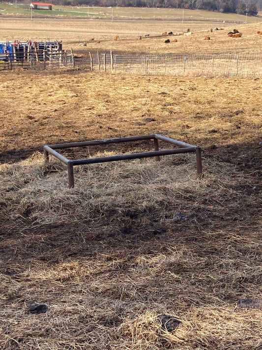 Highland Cattle Feeder