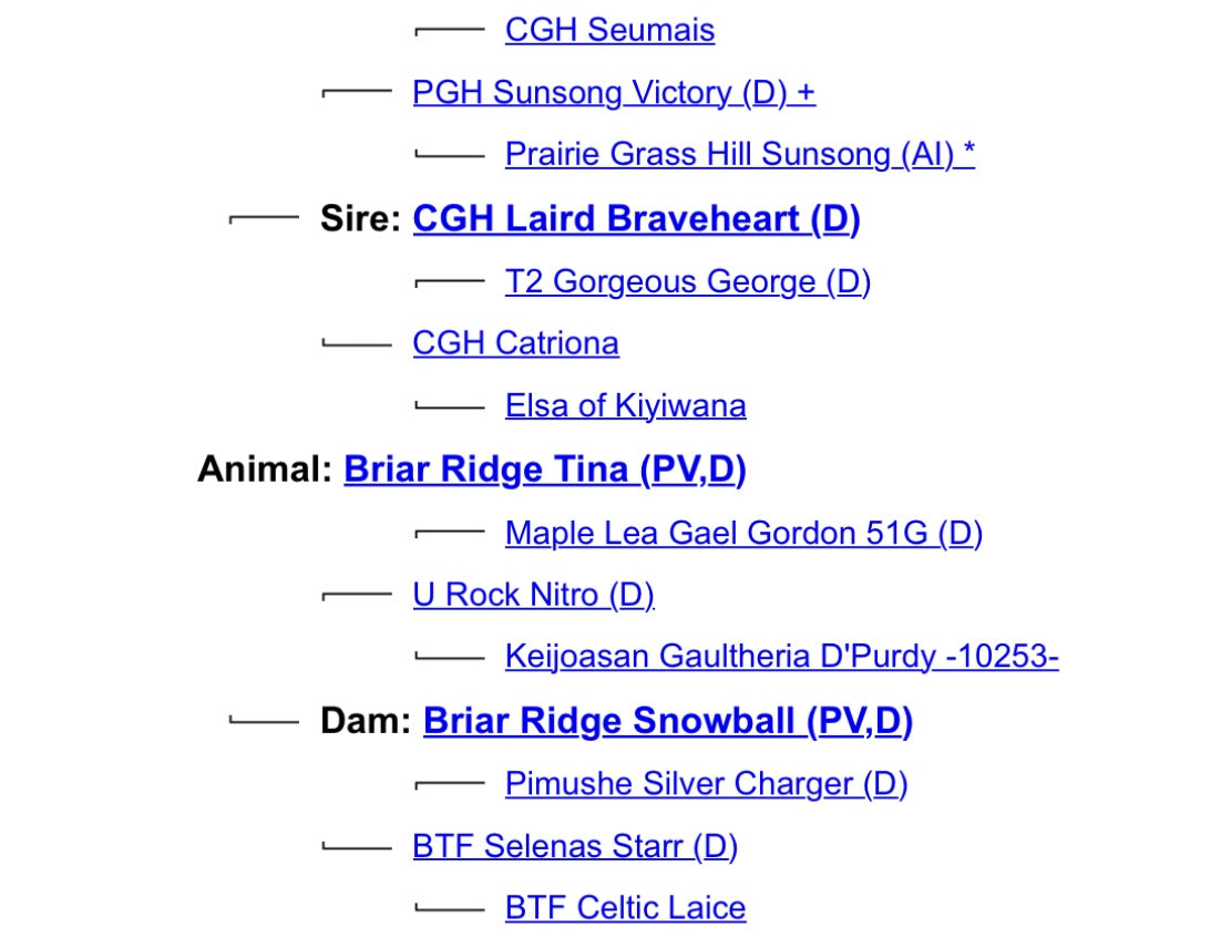 Unconventional Acres Avalanche - $4500